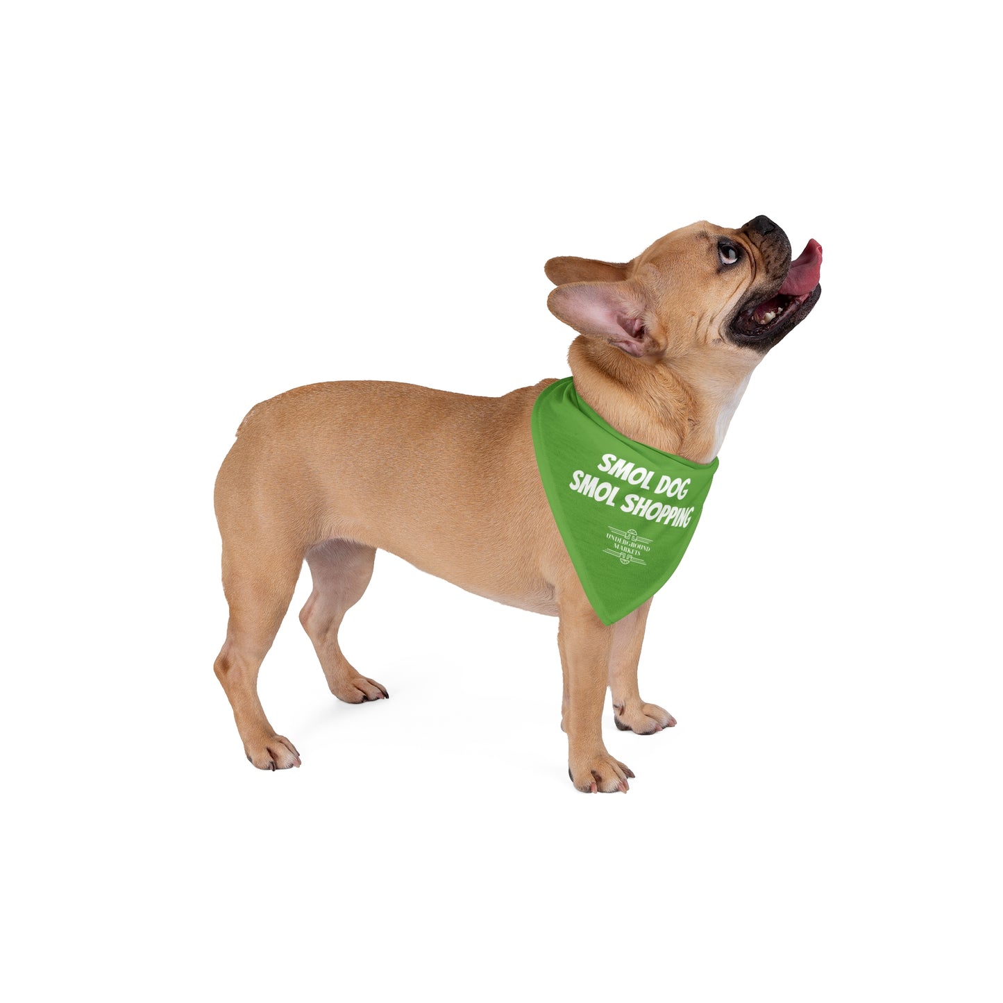 Smol Dog Smol Shopping Bandana - Green